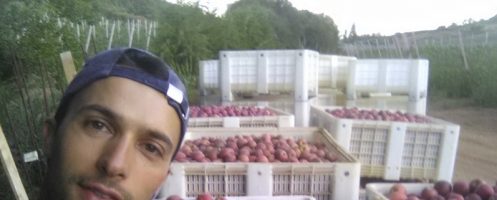 “Melhor Jovem Agricultor” é Cristóvão Ferreira, dos Vidais, que já residiu na Golpilheira