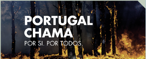 Todos na luta contra os incêndios!