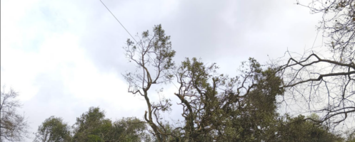 Tempestade Kristin arrasa Golpilheira (como toda a região centro do País)