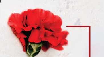 Batalha celebra o 52.º aniversário do 25 de Abril